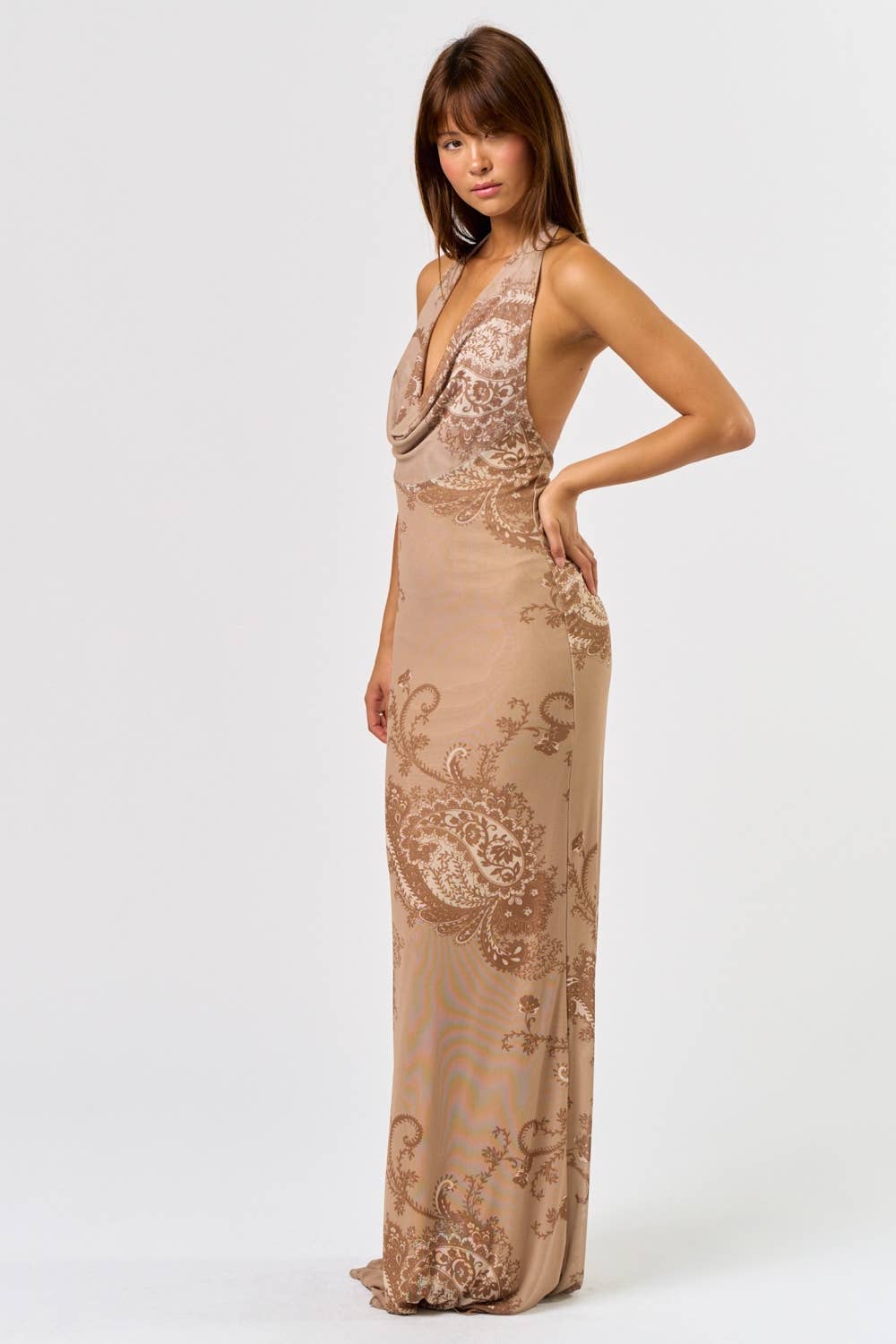 Paisley Allure Maxi Dress