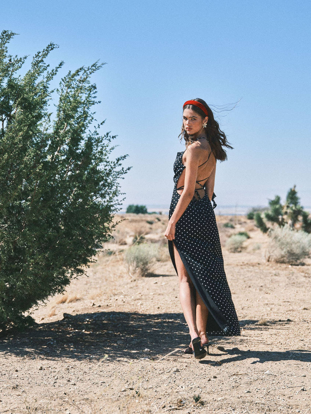 Eva Polka Dot Maxi Dress