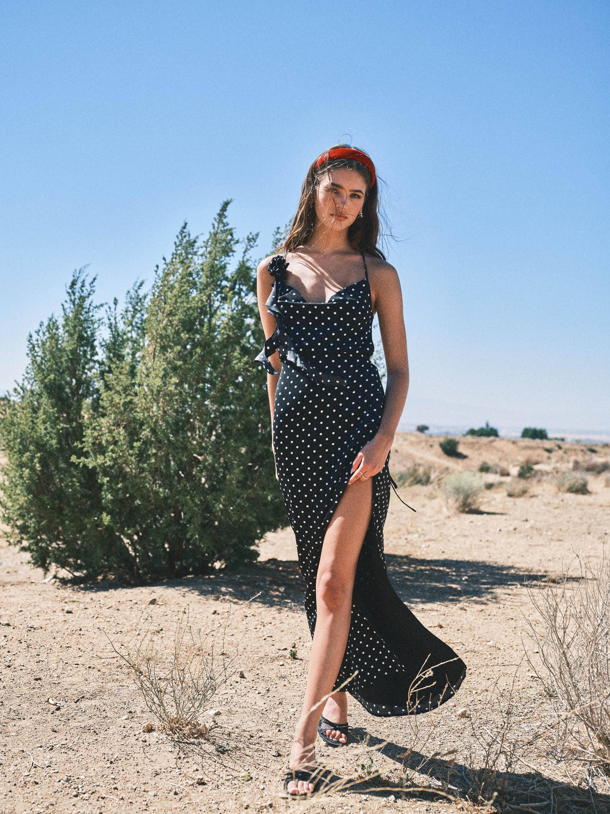 Eva Polka Dot Maxi Dress
